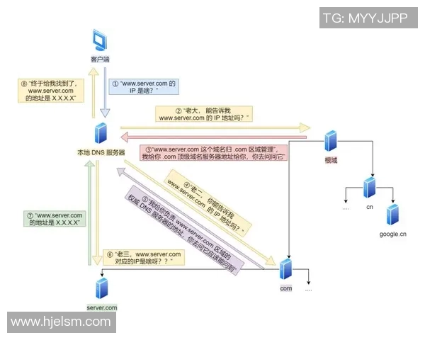 数据模型解析:灰熊队胜率预测与未来走势分析 数据模型解析:灰熊队胜率预测与未来走势分析
